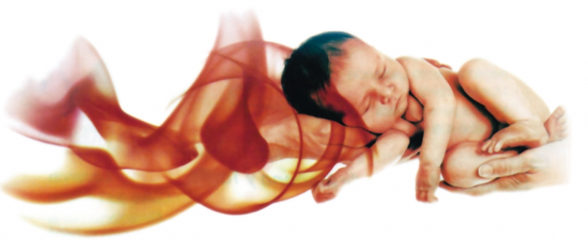 FarmaEstetic Baby – Ecox 4D FarmaEstetic Baby – Ecox 4D