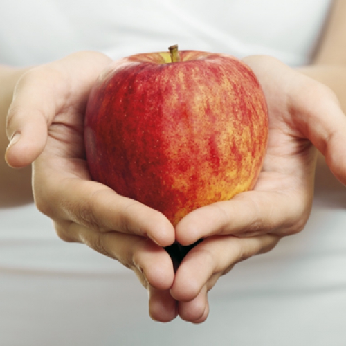 nutricion dietetica farmaestetic almeria nutricion dietetica farmaestetic almeria