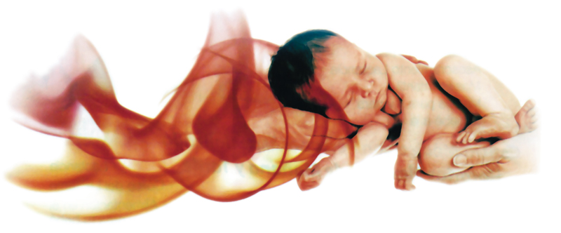 FarmaEstetic Baby – Ecox 4D FarmaEstetic Baby – Ecox 4D