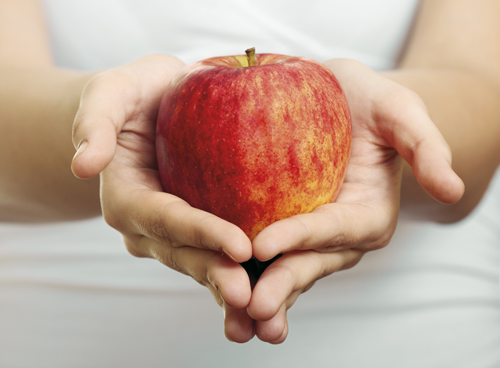 nutricion dietetica farmaestetic almeria nutricion dietetica farmaestetic almeria